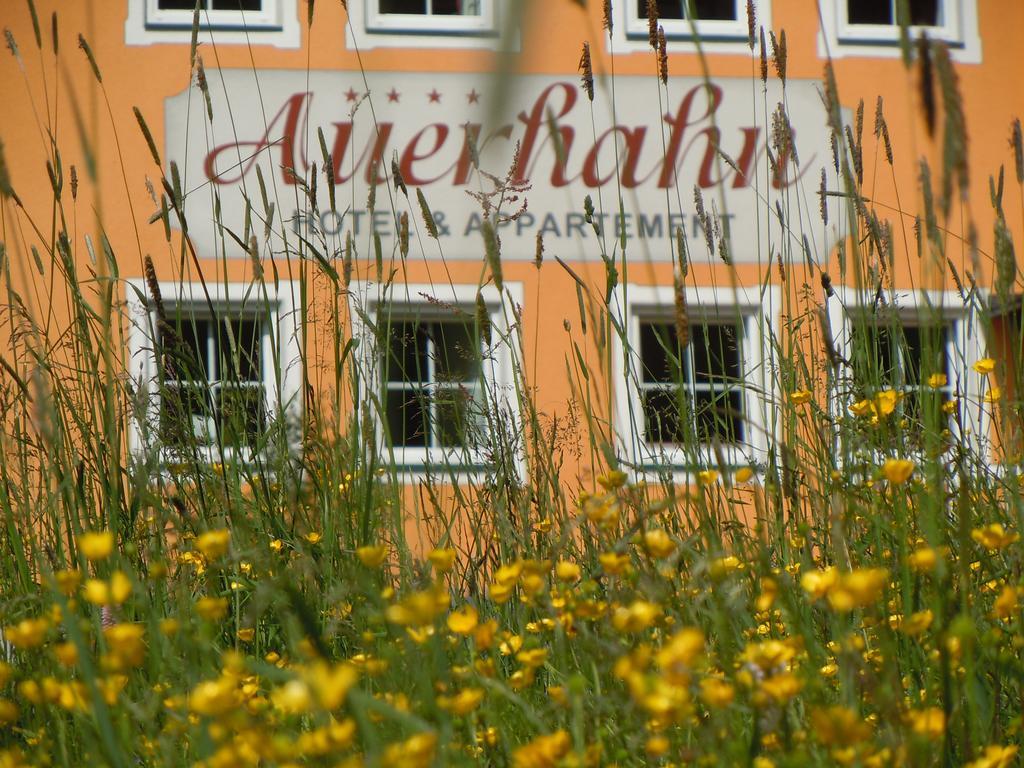 Hotel & Appartement Auerhahn Obertauern Extérieur photo